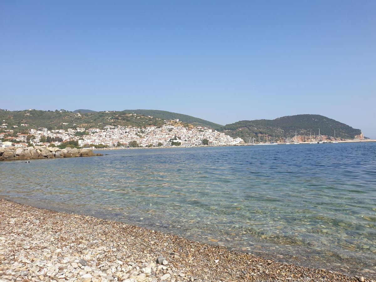Lovely One-Bedroom Flat In Skopelos Kültér fotó
